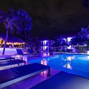 Van Gogh Aruba Palm Beach