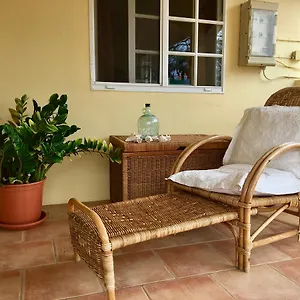 Bubali Gardens Palm Beach